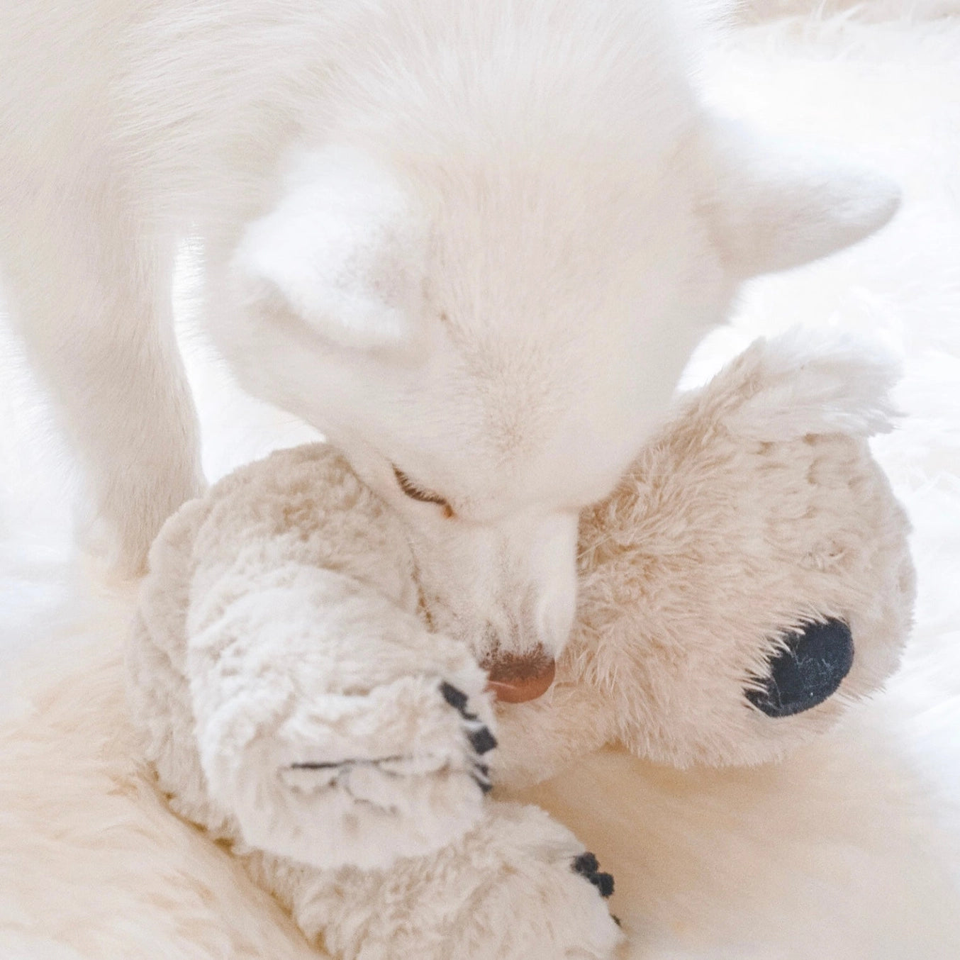 Peluche Koko