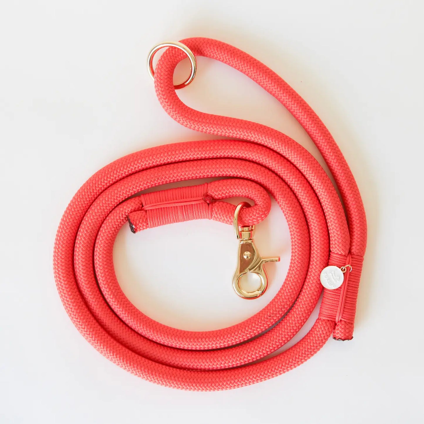 Laisse standard en nylon