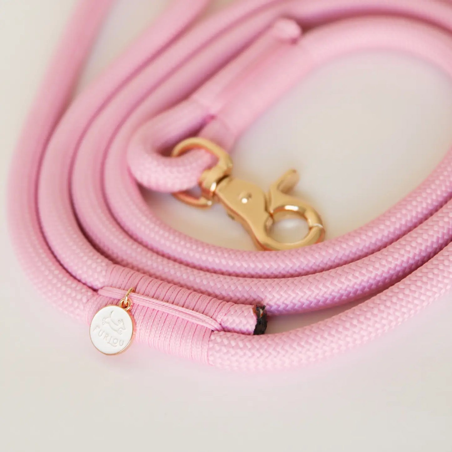 Laisse standard en nylon