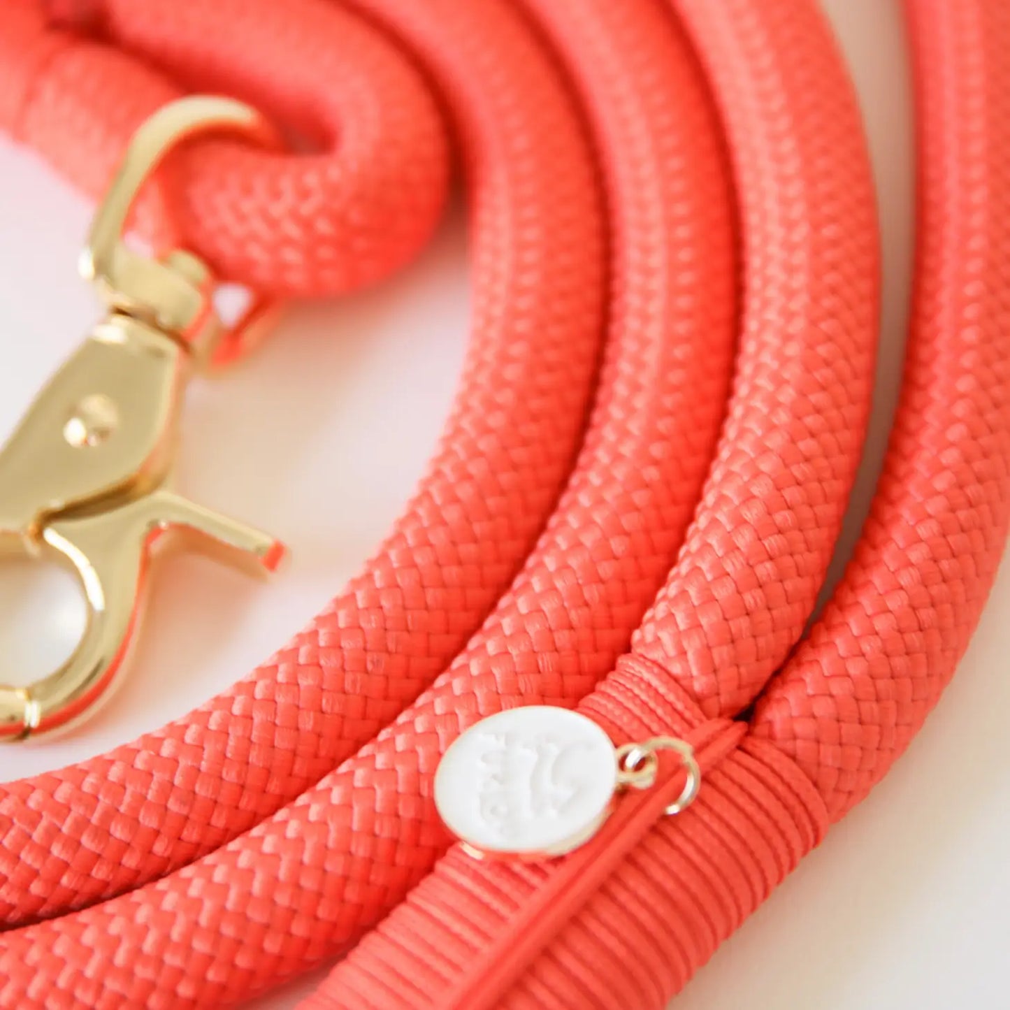 Laisse multiposition en nylon