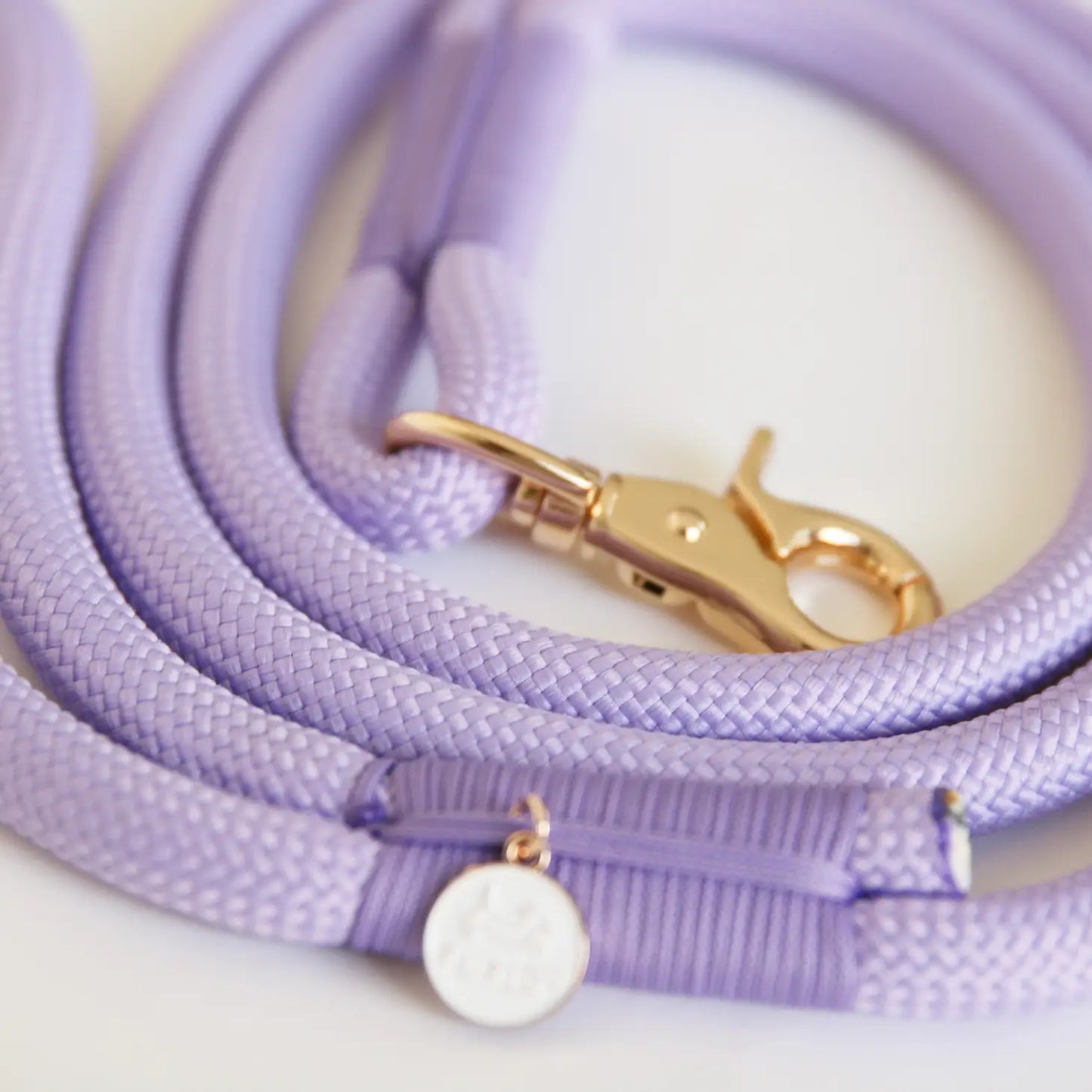 Laisse multiposition en nylon