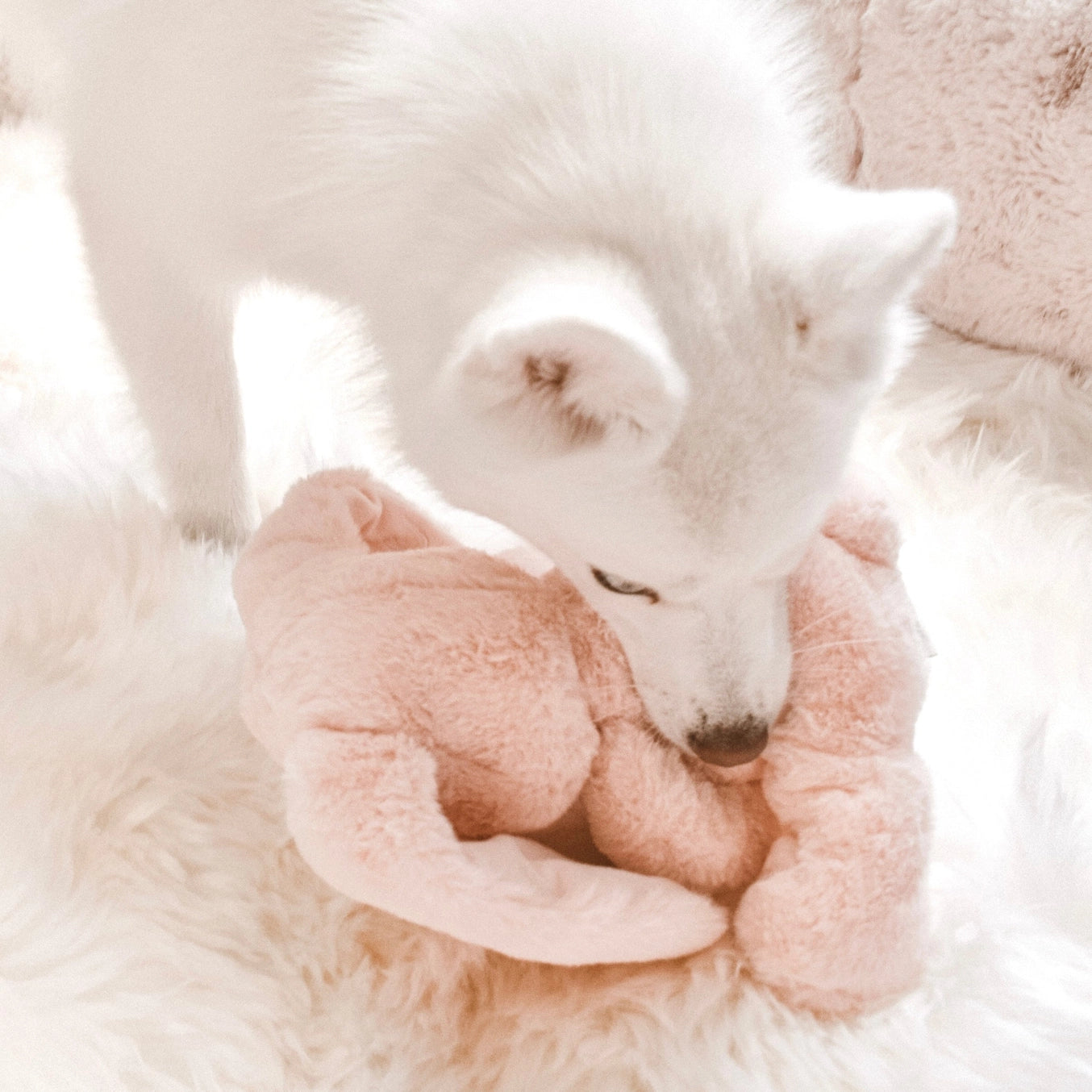 Peluche Ruby