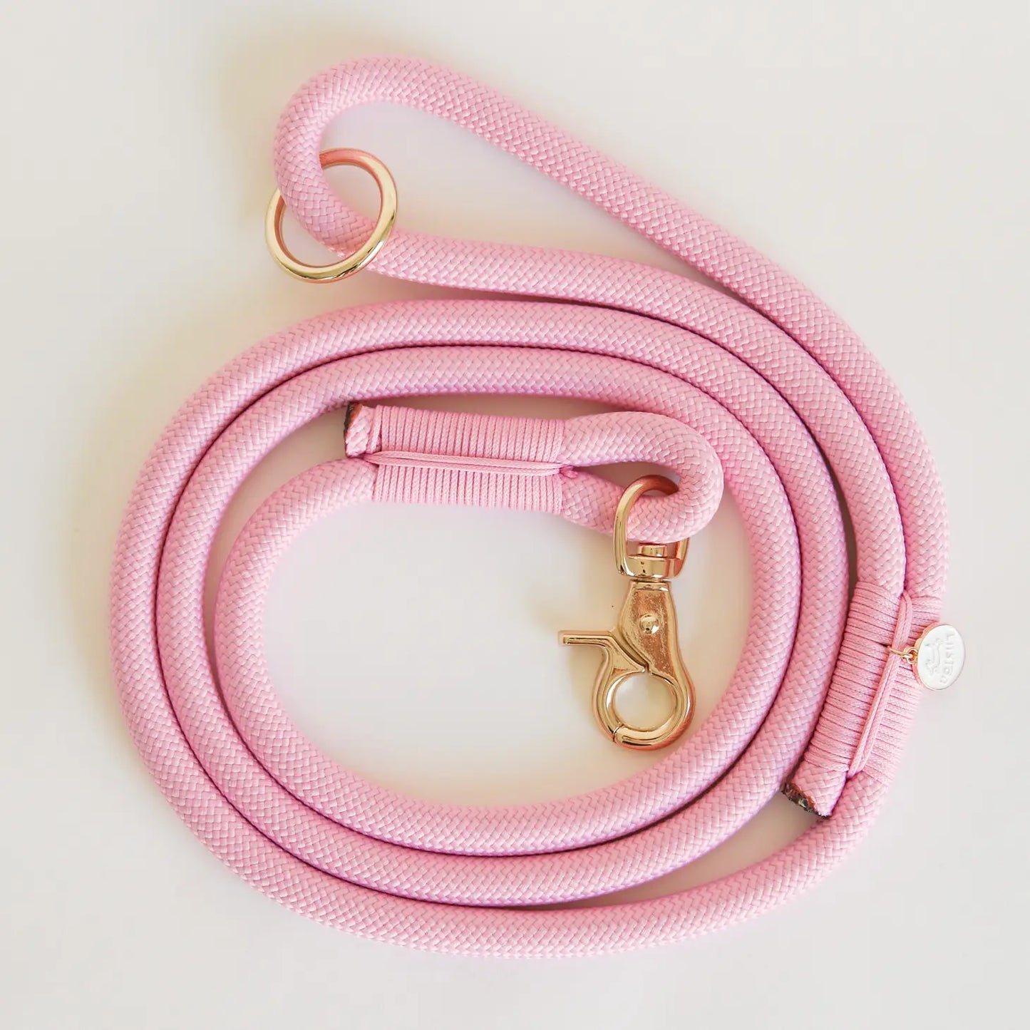 Laisse standard en nylon