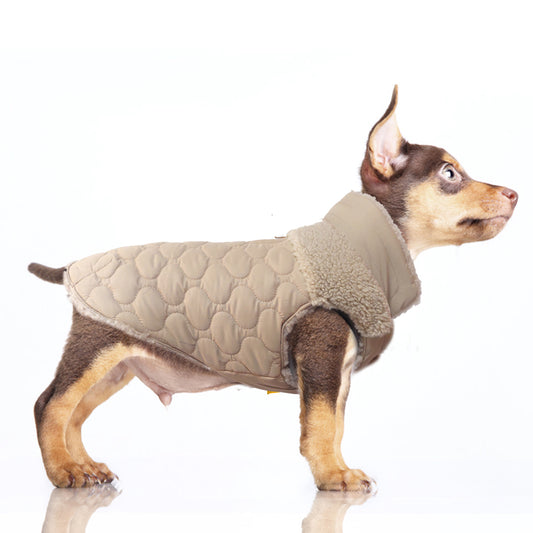 Protégez votre chien du froid hivernal avec style : Conseils et Accessoires chez Loom Pet Store