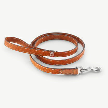 Laisse Ascot