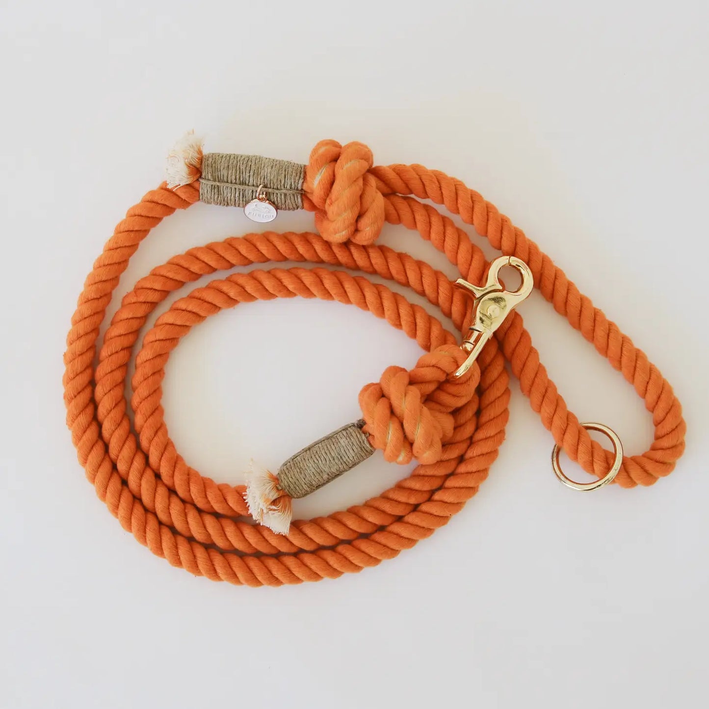 Laisse standard en corde