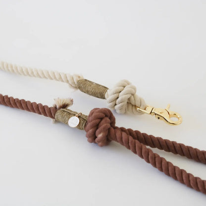 Laisse standard en corde