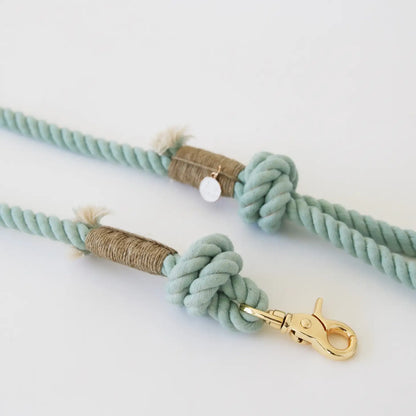 Laisse standard en corde