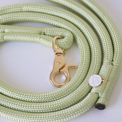 Laisse standard en nylon