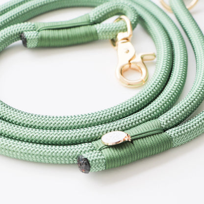 Laisse standard en nylon