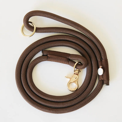 Laisse standard en nylon