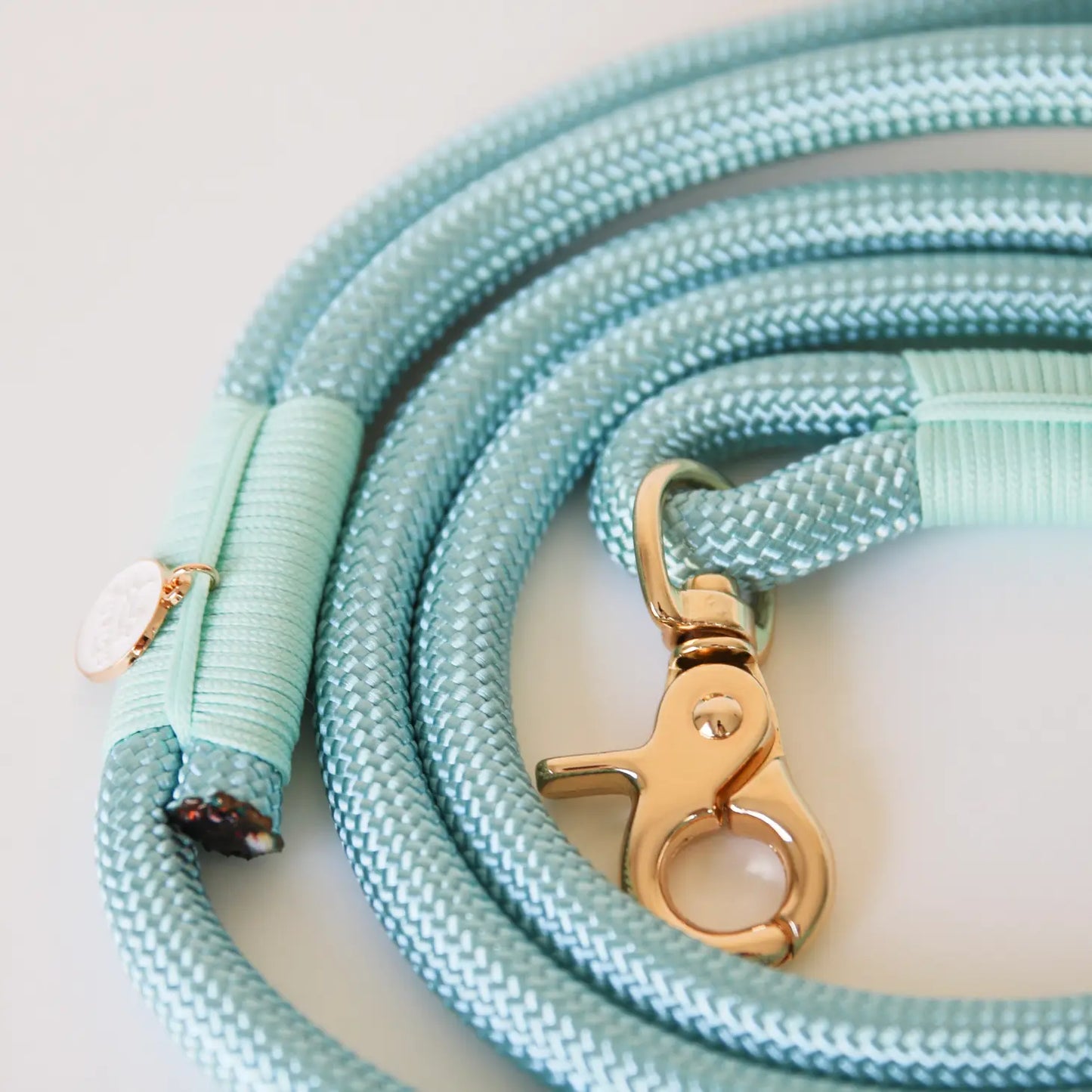 Laisse standard en nylon