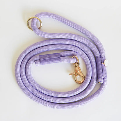 Laisse standard en nylon