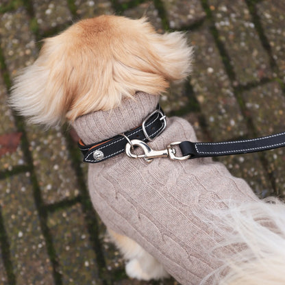 Collier Ascot