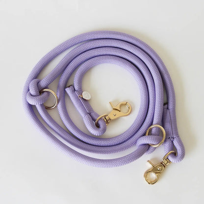 Laisse multiposition en nylon