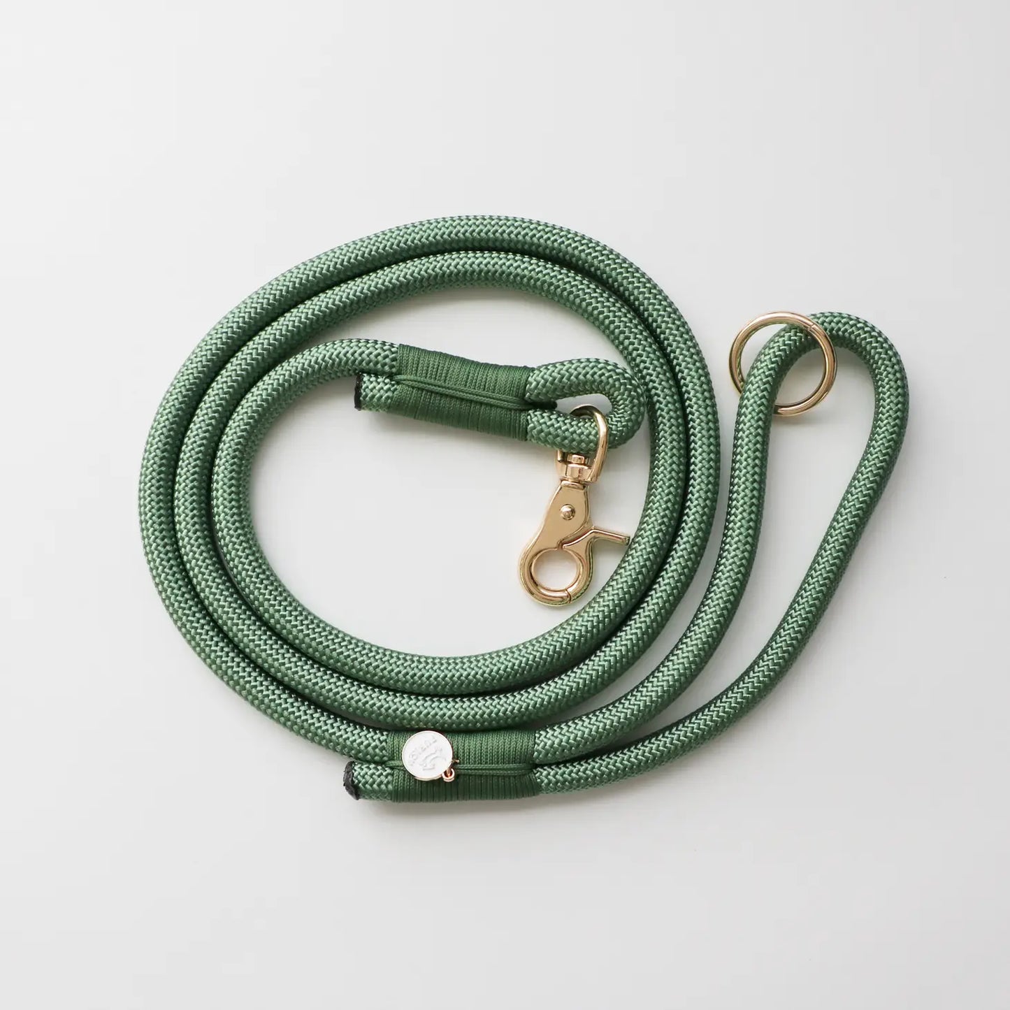 Laisse standard en nylon