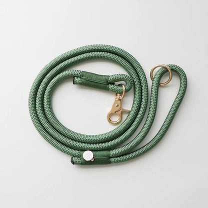 Laisse standard en nylon