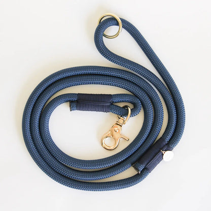 Laisse standard en nylon