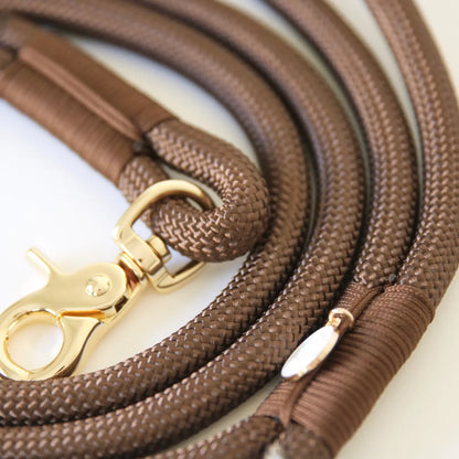 Laisse standard en nylon