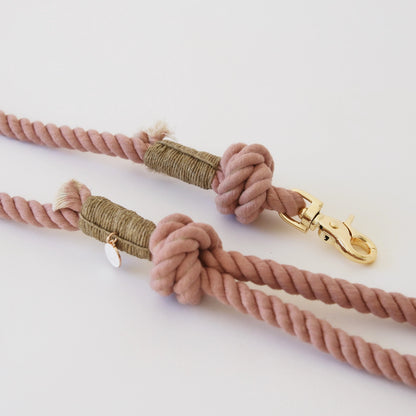 Laisse standard en corde