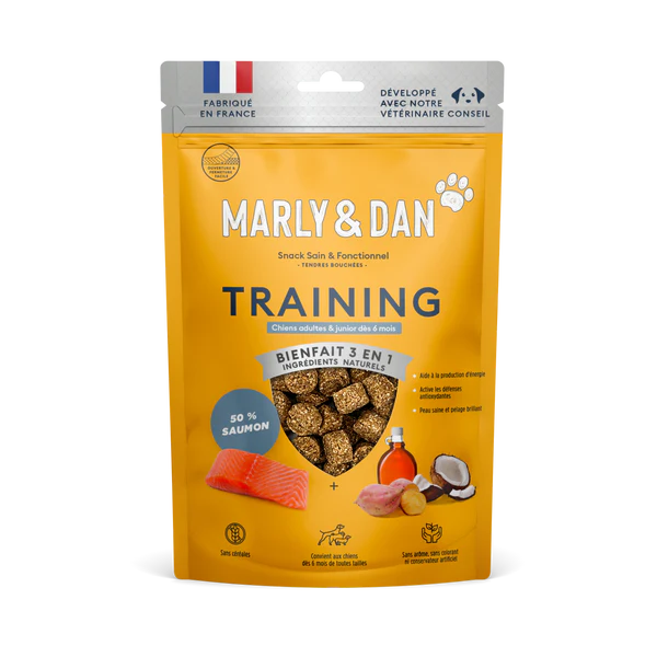 Marly & Dan - Training