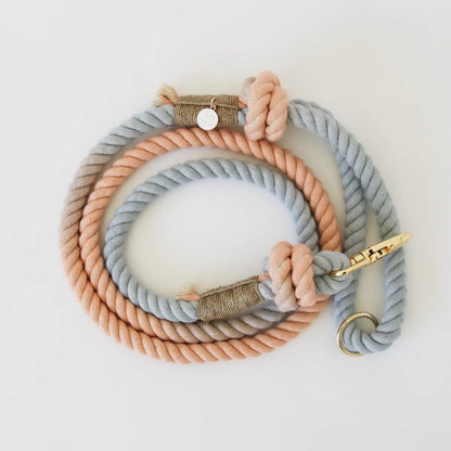 Laisse standard en corde