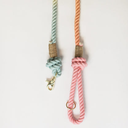 Laisse standard en corde