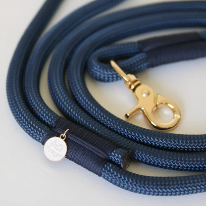 Laisse standard en nylon