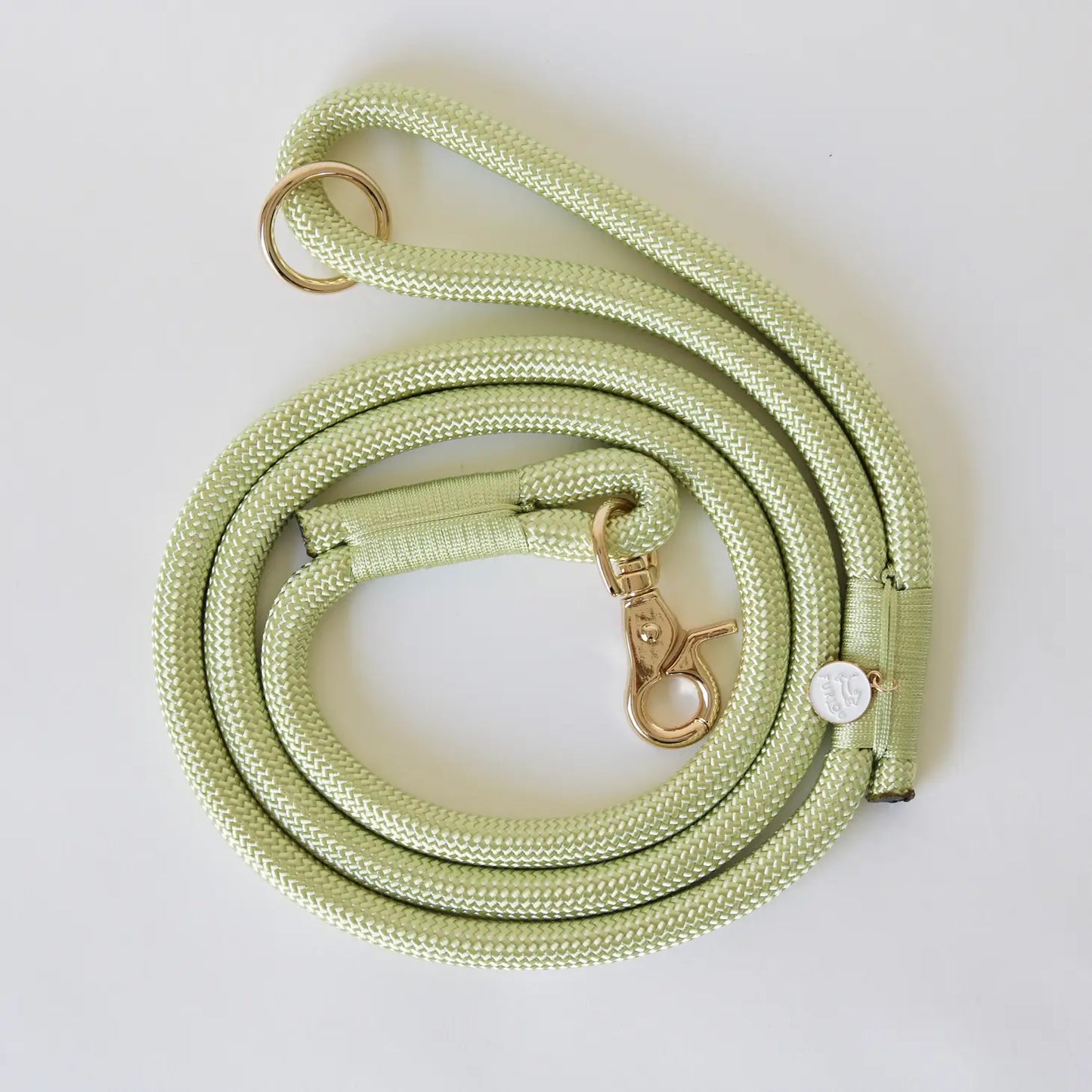 Laisse standard en nylon