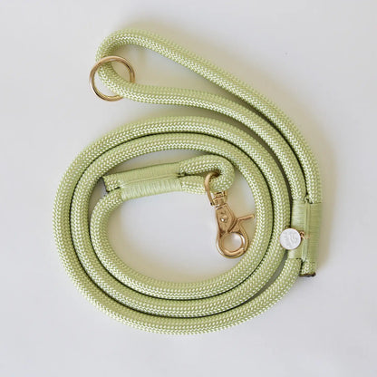 Laisse standard en nylon