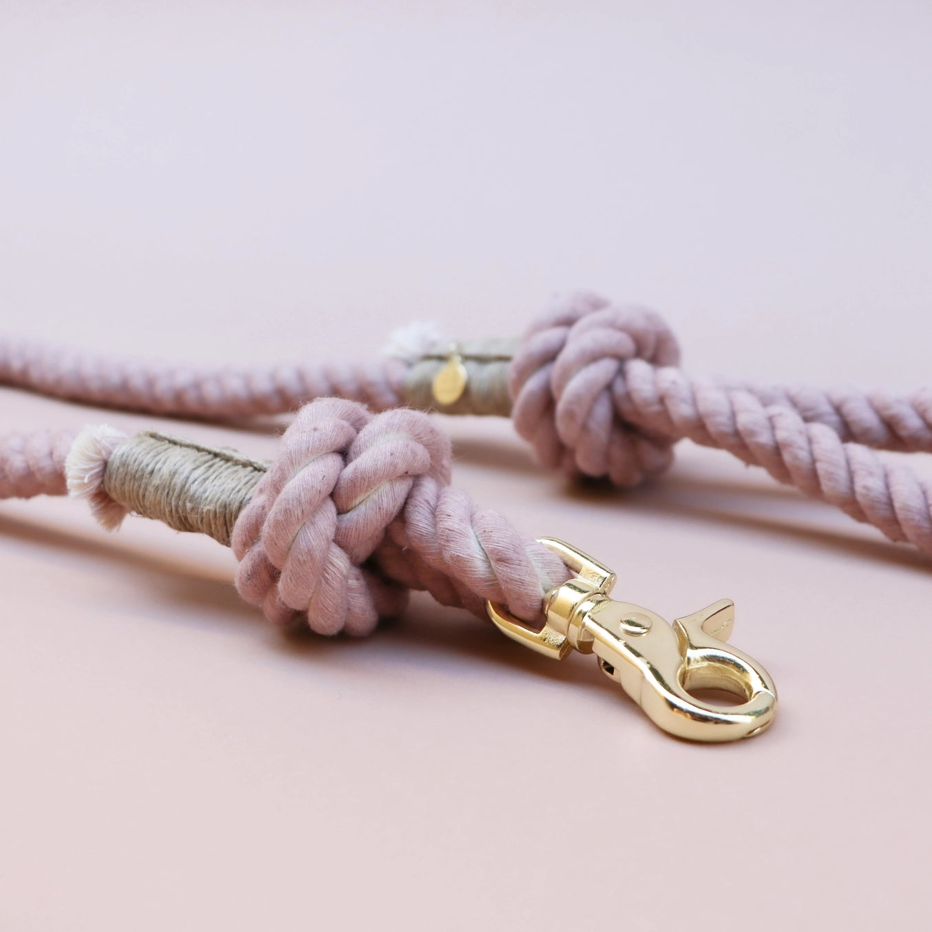Laisse standard en corde