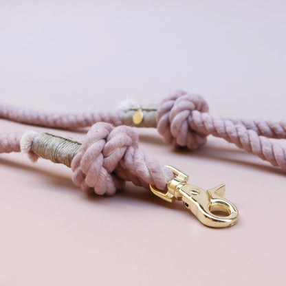 Laisse standard en corde