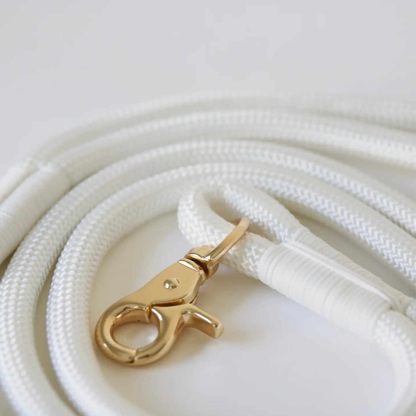 Laisse standard en nylon