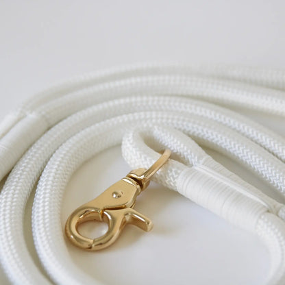 Laisse standard en nylon