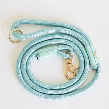 Laisse standard en nylon