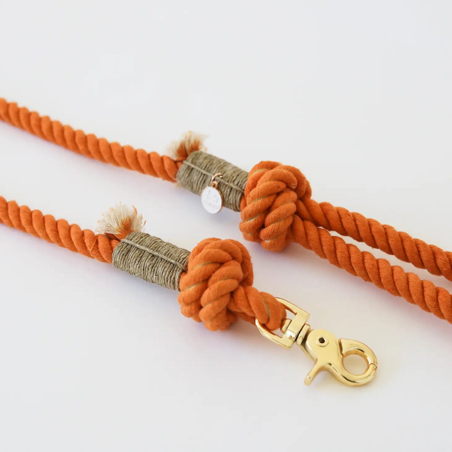 Laisse standard en corde