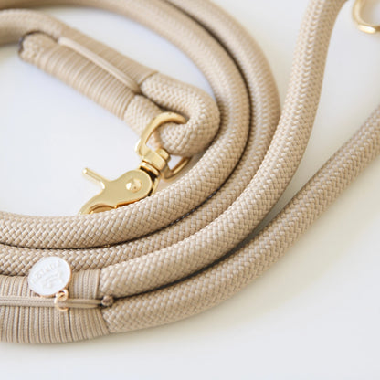 Laisse standard en nylon