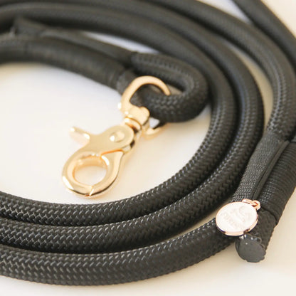 Laisse multiposition en nylon