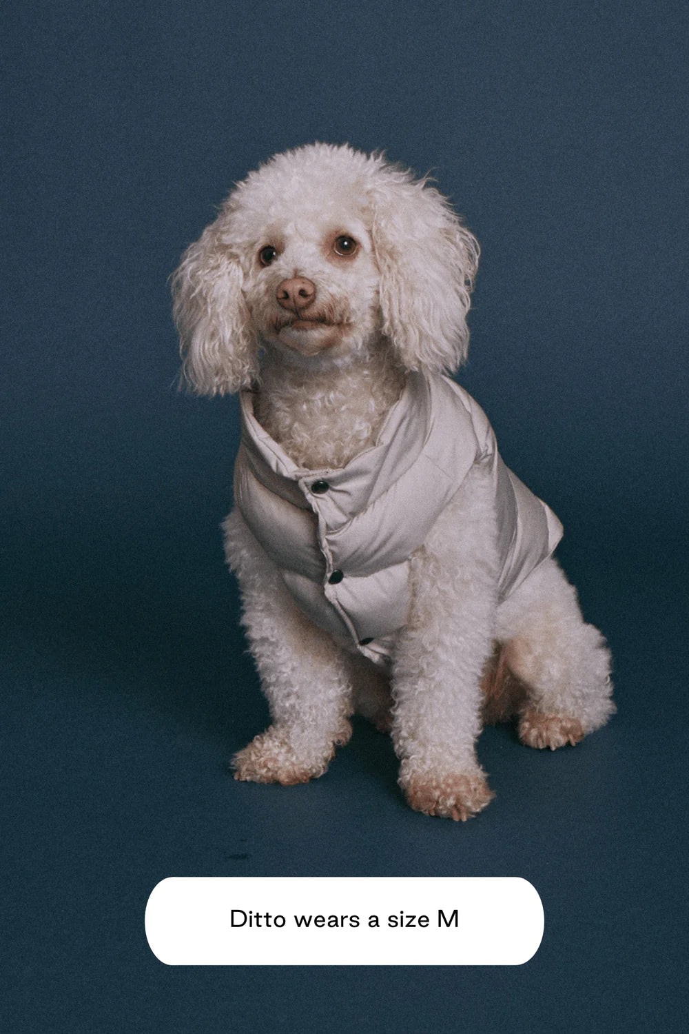 Doudoune Sub Zero imperméable à capuche